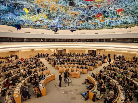 Palais des Nations - Room XX - Human Rights Council