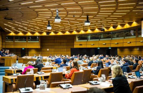 UOC - UNITAR Master in International Affairs and Diplomacy and related qualifications - 2025 Field Visit to Geneva