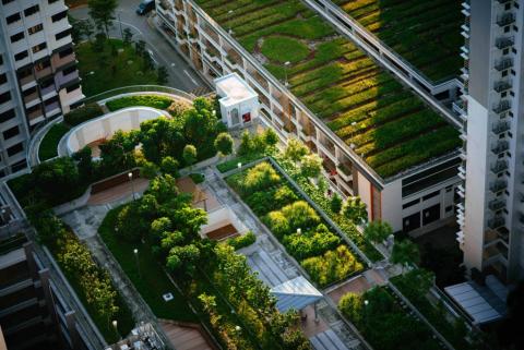 Sustainable and Resilient Housing
